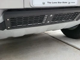 Installed lower grill guard from Amazon.