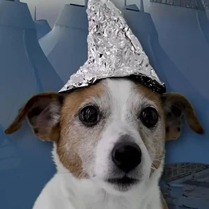 tinfoildog.webp