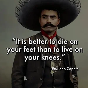 zapata.webp