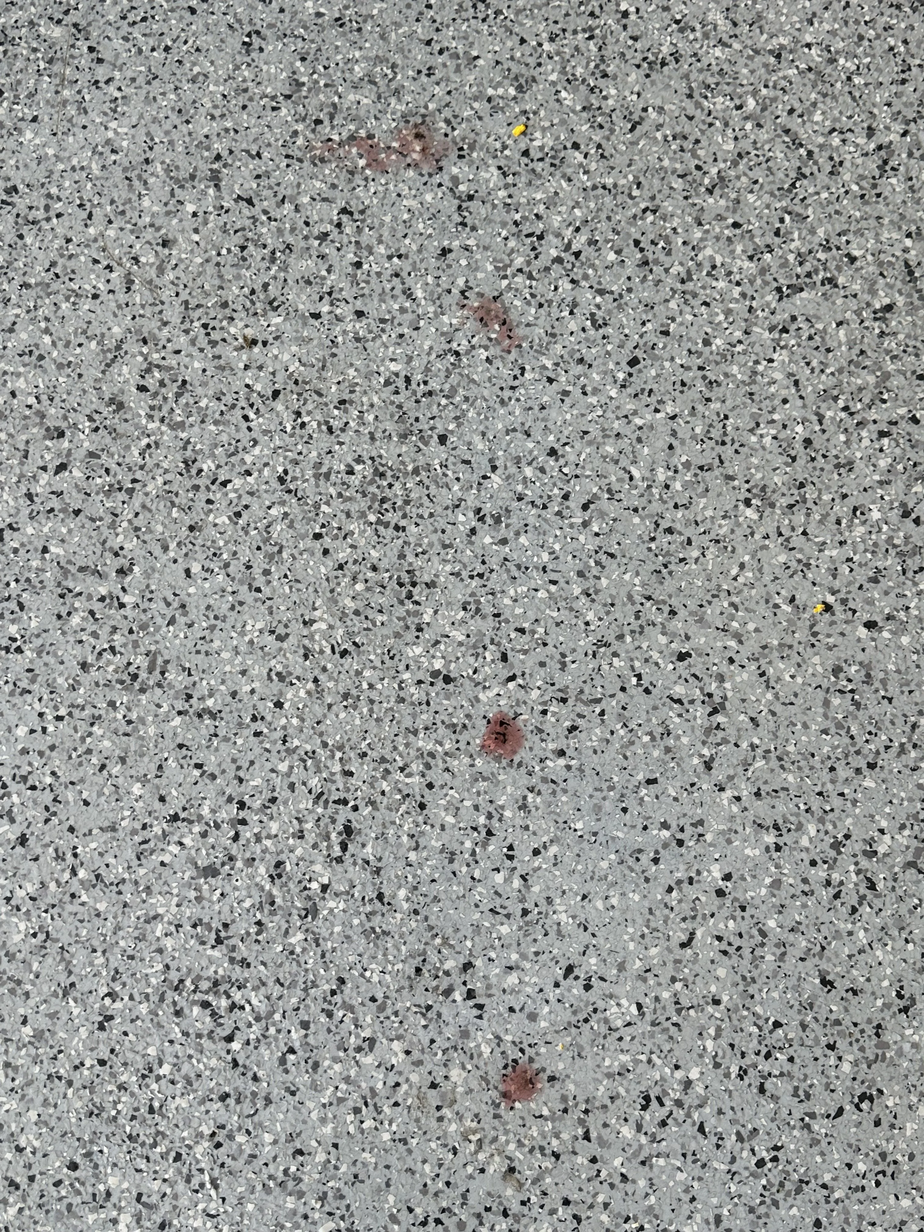 IMG_4586.jpeg