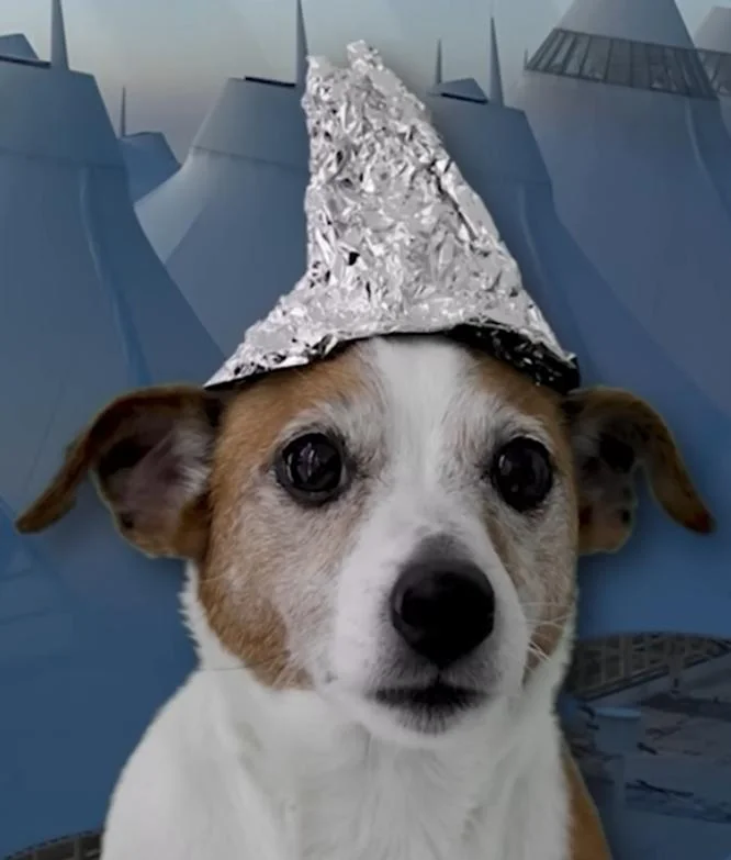 tinfoildog.webp