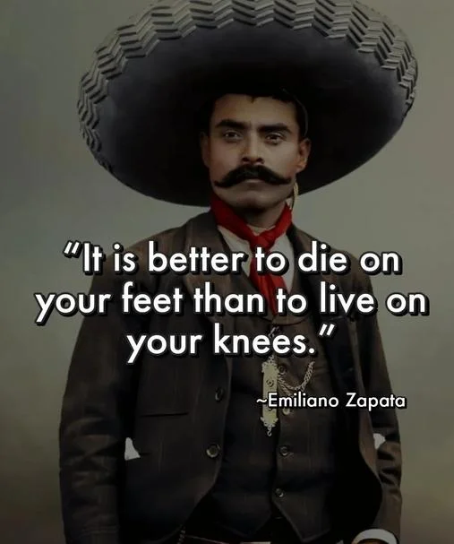 zapata.webp